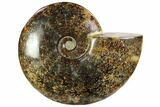 Polished, Agatized Ammonite (Cleoniceras) - Madagascar #102611-1